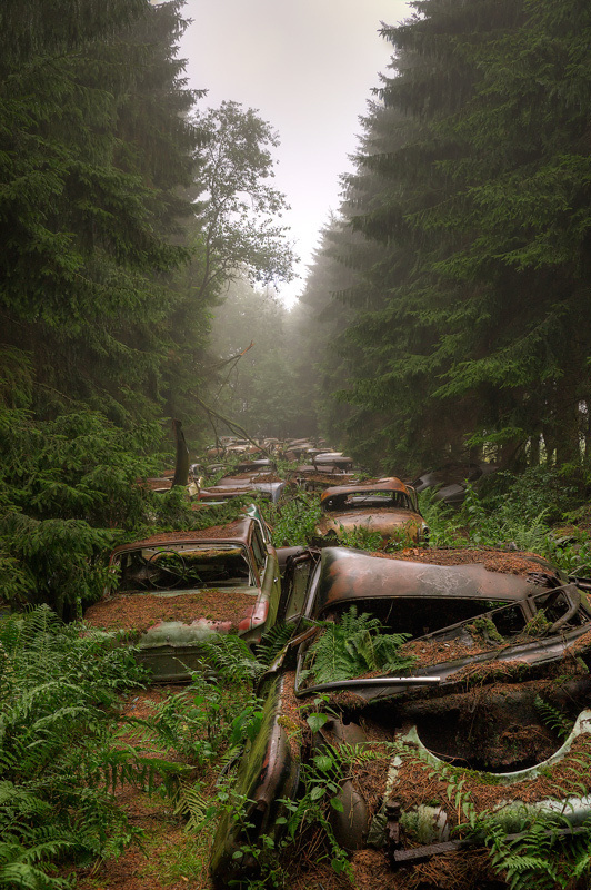 Chatillon (13) | Flickr - Photo Sharing! #cars #decay