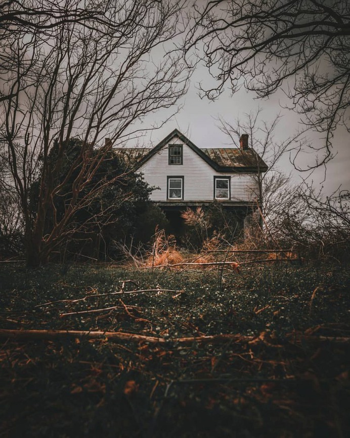 Brilliant Abandoned Houses in Virginia and North Carolina by Kyle Boykin