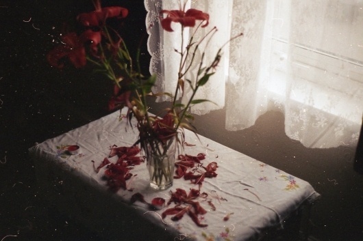 All sizes | Untitled | Flickr - Photo Sharing! #window #flowers #film