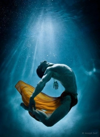 Underwater Photography by Joseph Seif | Professional Photography Blog #inspiration #photography #underwater