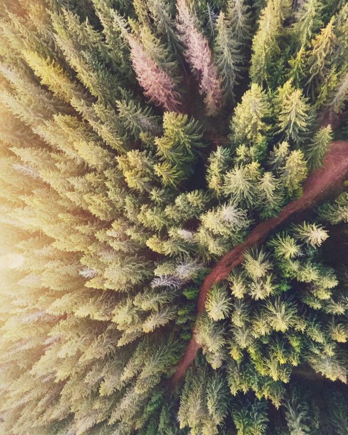 Rural Ukraine From Above: Drone Photography by Nazarii Doroshkevych