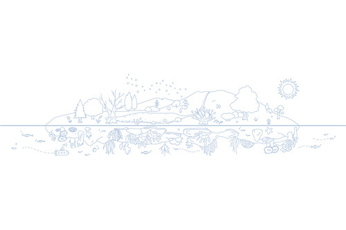 Fun and Whimsical #Illustration