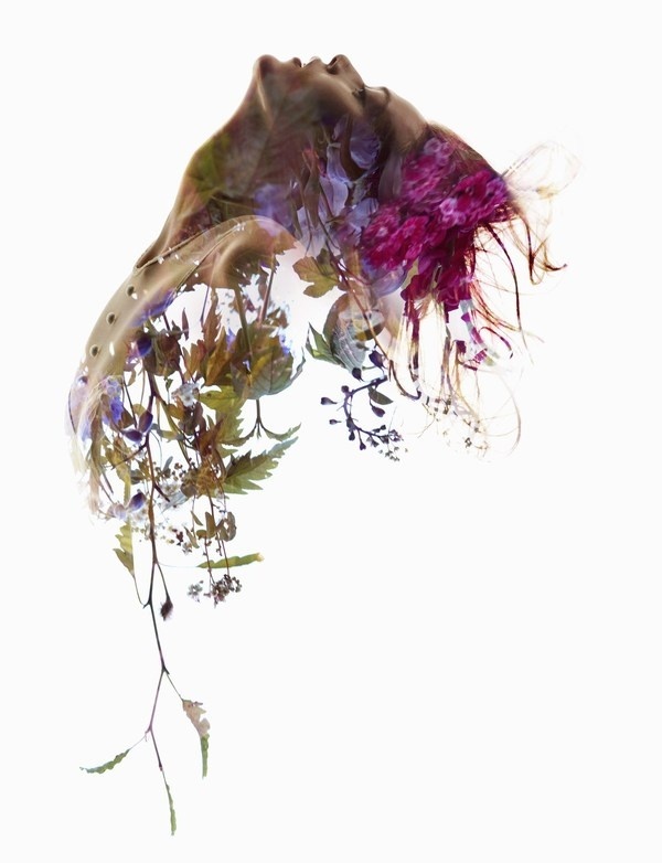 sve20130902g007 #slve #exposure #portrait #sundsb #double #flowers
