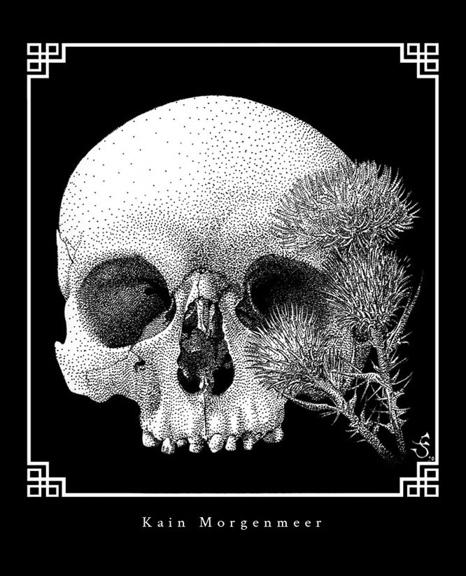 Skull and plumeless thistles / Vanitas II by KainMorgenmeer