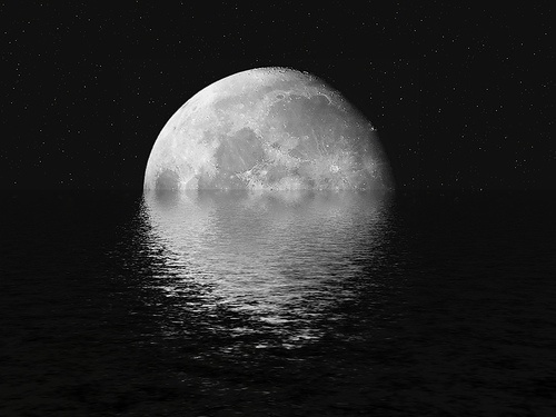 The Sixteenth Division #reflection #moon