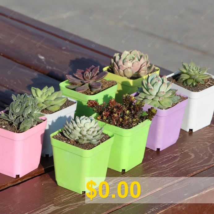 Colorful #Plastic #Square #Pot #Thick #Succulent #Planting #Pot #Greenhouse #Special #Small #Square #Bowl #Nursery #Pot #- #WHITE