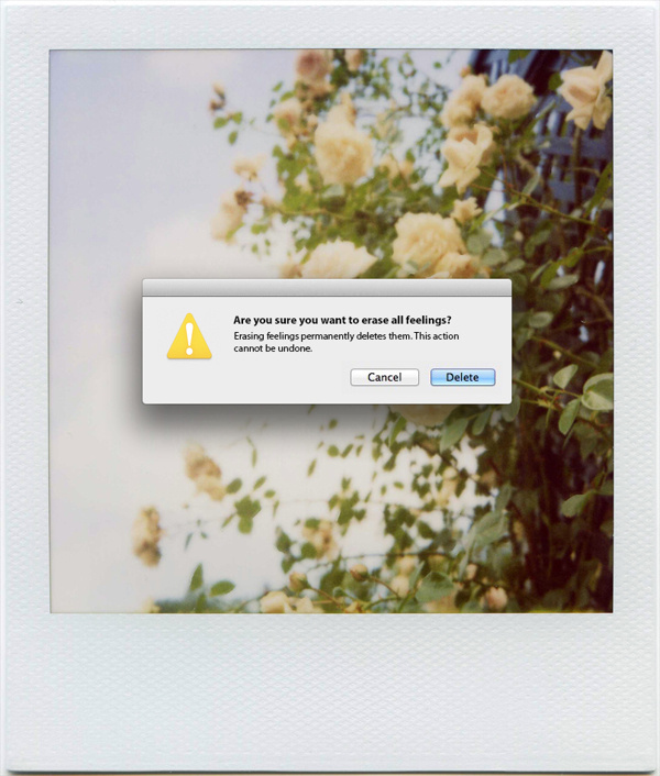 Human Error by Victoria Siemer #siemer #polaroid #human #victoria #art #error