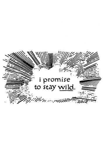 Dan Cassaro - To Resolve Project #type