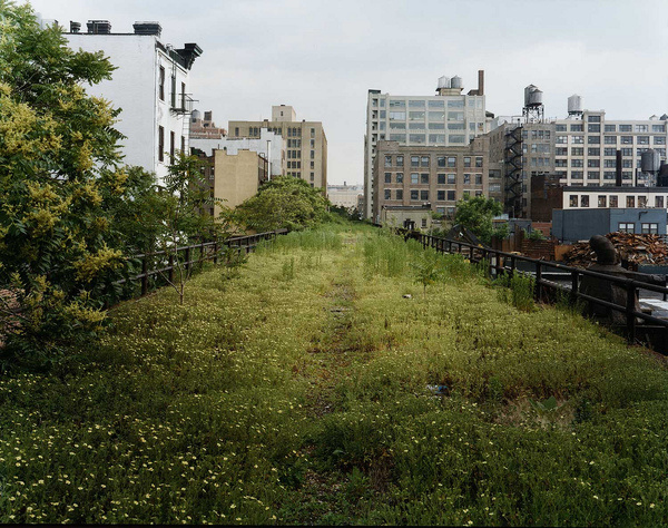 Joel Sternfeld | Friends of the High Line #line #york #nyc #high #new