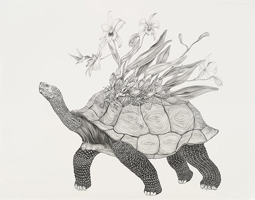 Tara Tucker - BOOOOOOOM! - CREATE * INSPIRE * COMMUNITY * ART * DESIGN * MUSIC * FILM * PHOTO * PROJECTS #illustration #drawing