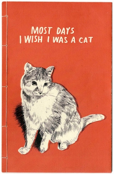 Molly Elaine #vintage #cat