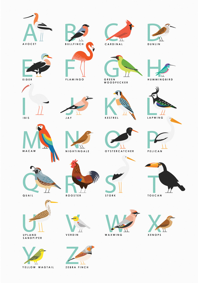 Animal Illustration by Sarah Abbott #icon #illustration #animal #birds #print