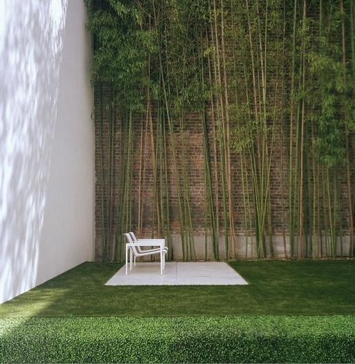 Urban Gardens #garden #courtyard #wall #high