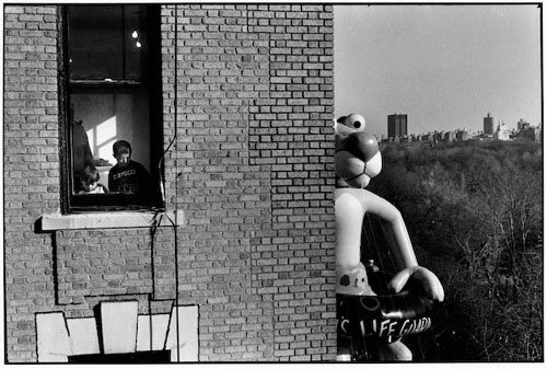 this isn't happiness™ photo caption contains external link #photo #giant #panther #toy