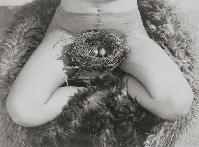 "Nest", 1979, Birgit Jürgenssen #photography