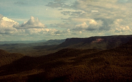 Untitled | Flickr - Photo Sharing! #vista #photography #vintage #nature
