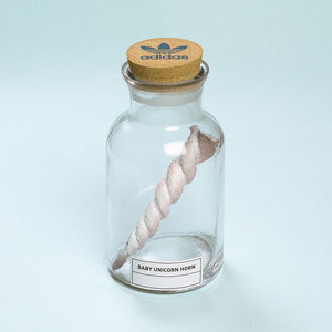 Baby unicorn horn