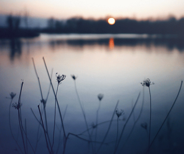 #cinemagraph