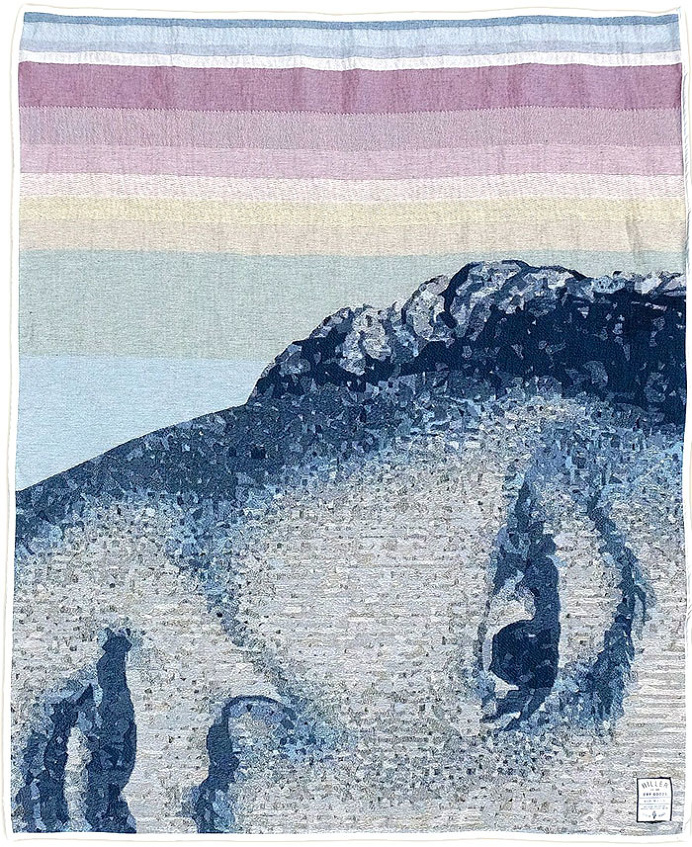Currency Blankets Collection #textile #design #fabrics #patterns #art #graphics #print