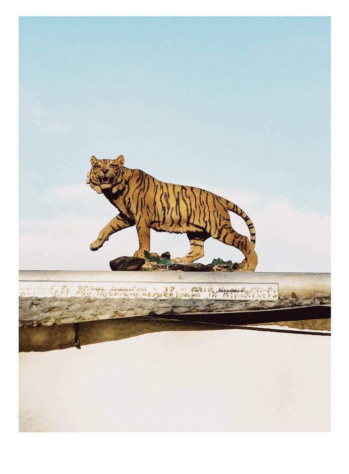 #cologne #cat #walk #scenography #location #setdesign PHOTOGRAPHIE © [ catrin mackowski ]