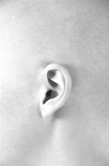 POC a POC #ear