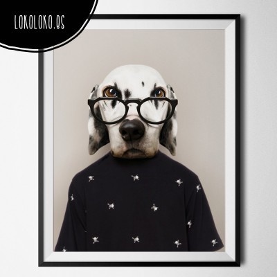 #animals #clothe #fashion #dog