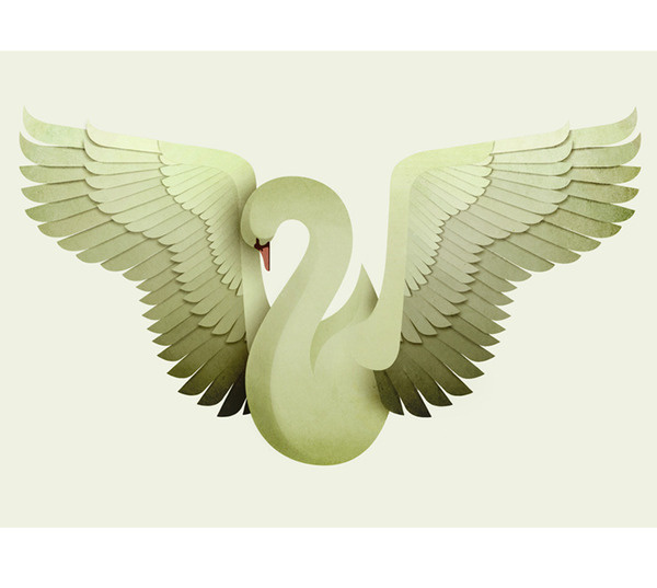 Swan Andrew Lyons www.lyonsa.com #lyons #swan #andrew