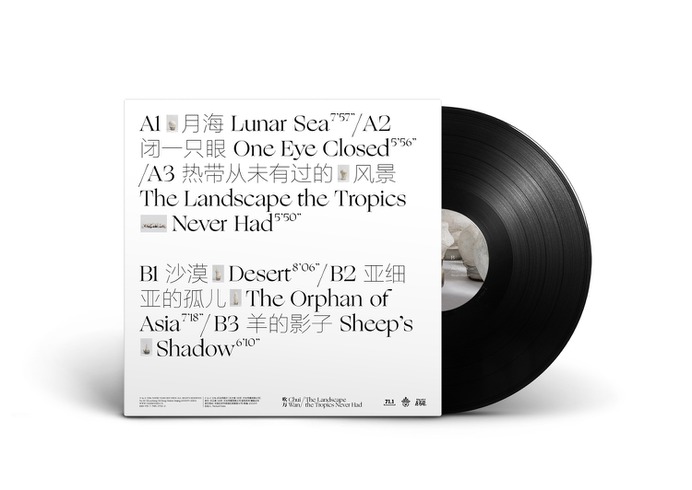 ChuiWan_Vinyl_Back_MockUp.jpg (1500×1063)