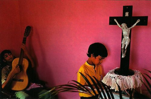 Alex Webb