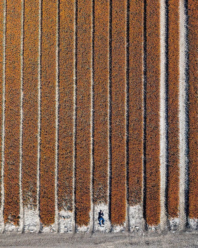 The Netherlands From Above: Drone Photography by Erik Krugers