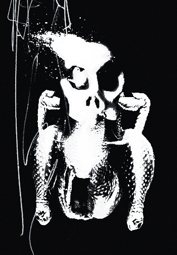 TIREPLAYGROUND #heart #blackwhite #turkey #graphic #chicken #skull