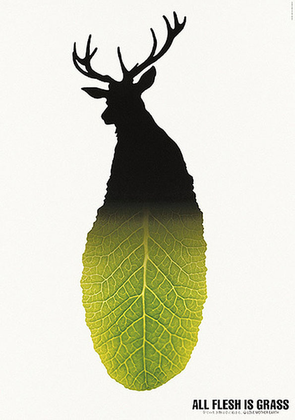 Fukuda_10 #deer #leaf #grass #japanese #nature #japan