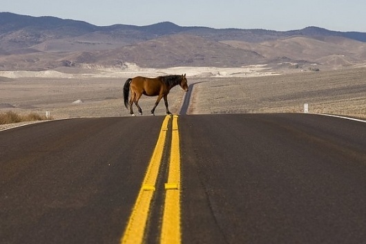 Photography by Dirk Huijssoon » Creative Photography Blog #photography