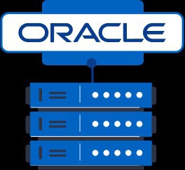 Let us help you find the best Oracle developers at the affordable price. Hire Oracle developers in one click.