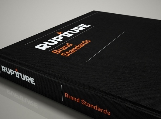 Postmammal #branding #guide #guidelines #corporate #identity #style