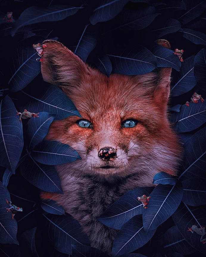 Surreal and Dreamlike Photo Manipulations by Andreas Häggkvist