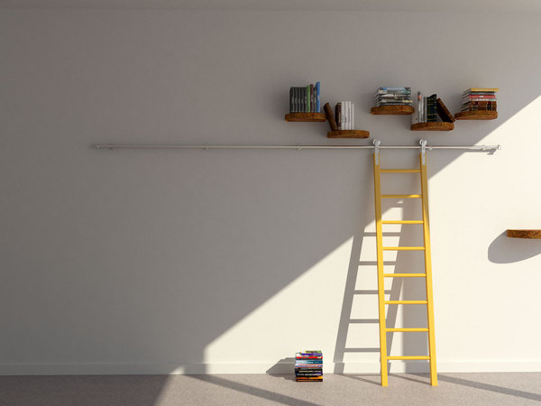 LazyWoodSlice_06 #ladder