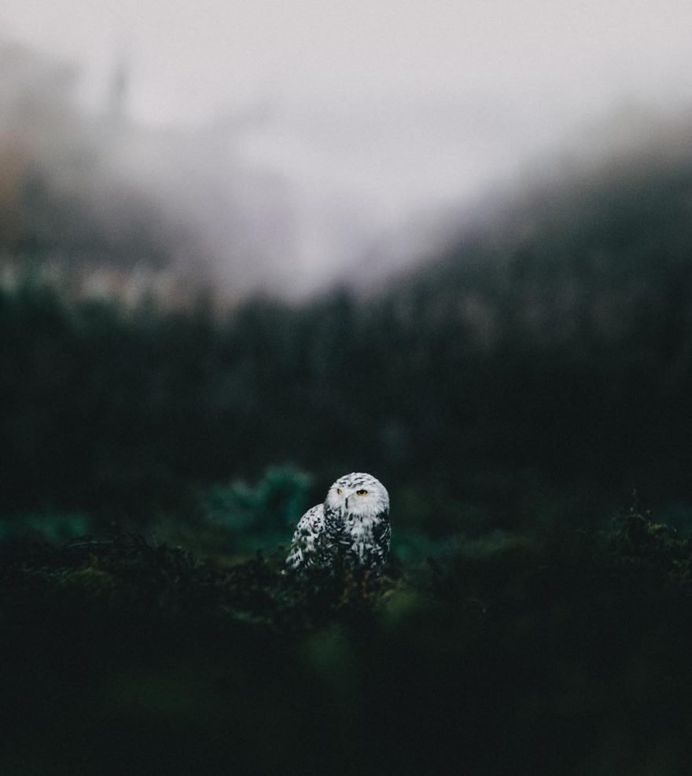 Spectacular Photos of British Columbia Landscapes by Ian Harland