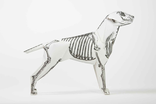 CJWHO ™ (A Paper Puppy Mascot Gets A Multicultural Makeover) #crafts #design #illustration #puppy #art #makeover #paper
