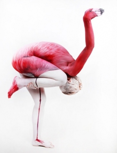 funny-body-painting-art-flamingo.jpg (500×651) #flamingo #dance