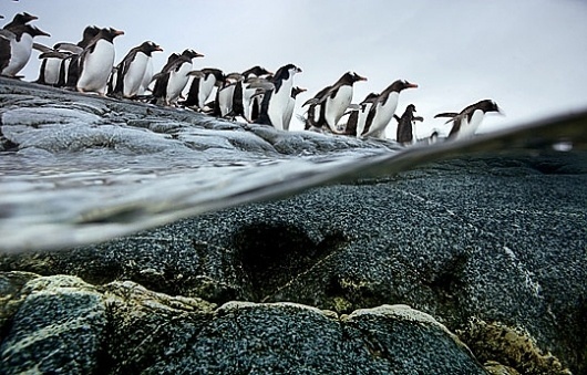DAILY INSPIRATIONS FOR DYT #57 » Design You Trust