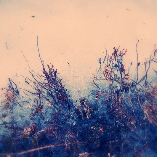 FOTO « DANIEL JOURNAL #daniel #photography #johansson