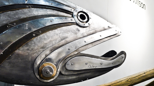 Fish #fish