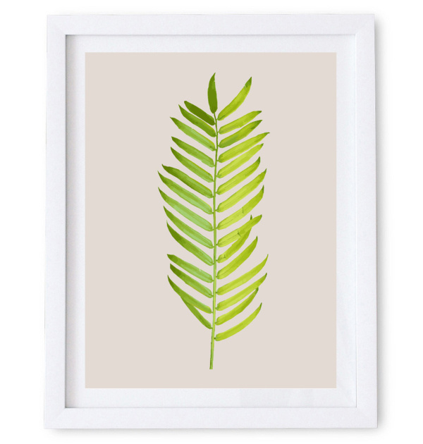 Artwork featuring the illustration of a graceful long leaf with delicately shaded leaflets. #print #illustration #nature #wall #poster #art