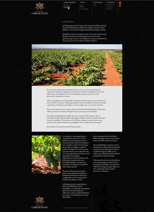 disexc3xb1o web corporativo a medida #design #web
