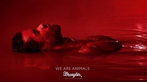 FFFFOUND! | We Are Animals | Fubiz™ #red #wrangler #are #animals #jeans