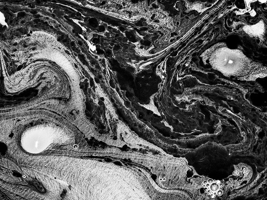Nicholas Alan Cope Photography #abstract #photography