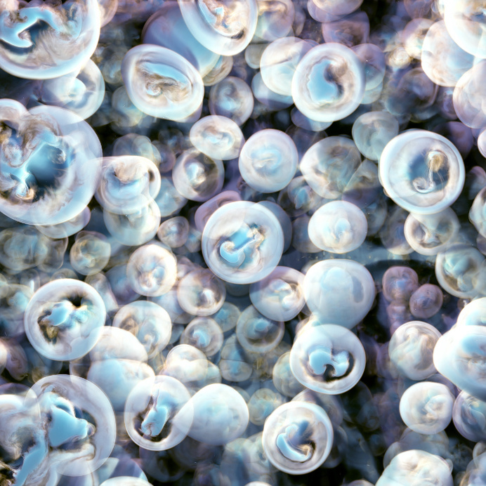 Jellyfish Bloom Series by Ari Weinkle