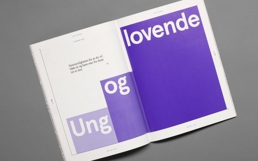 Heydays — Snitt #publication