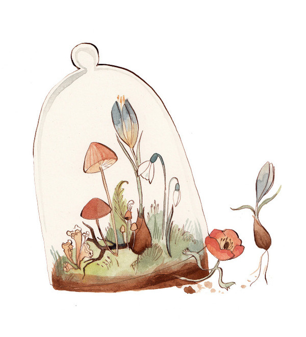 KelseyGarrityRiley #botanical #illustration #floral